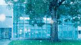 「秋冬を感じる駒場キャンパス写真集」のサムネイル画像