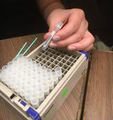 1本の綿棒から、一滴のDNAから世界を変える研究を！のサムネイル